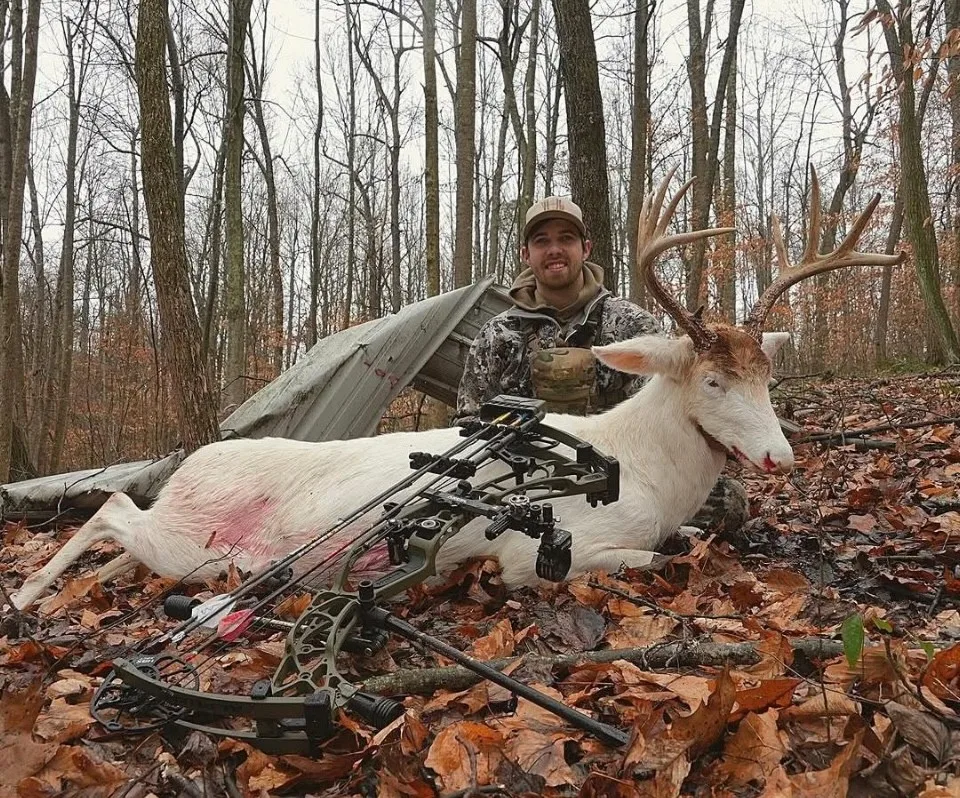 The Buck That Is Turning Heads on the Internet