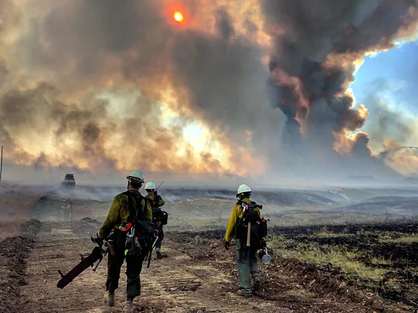 Daines Introduces Bill to Make Increased Wildland Firefighters’ Pay Permanent