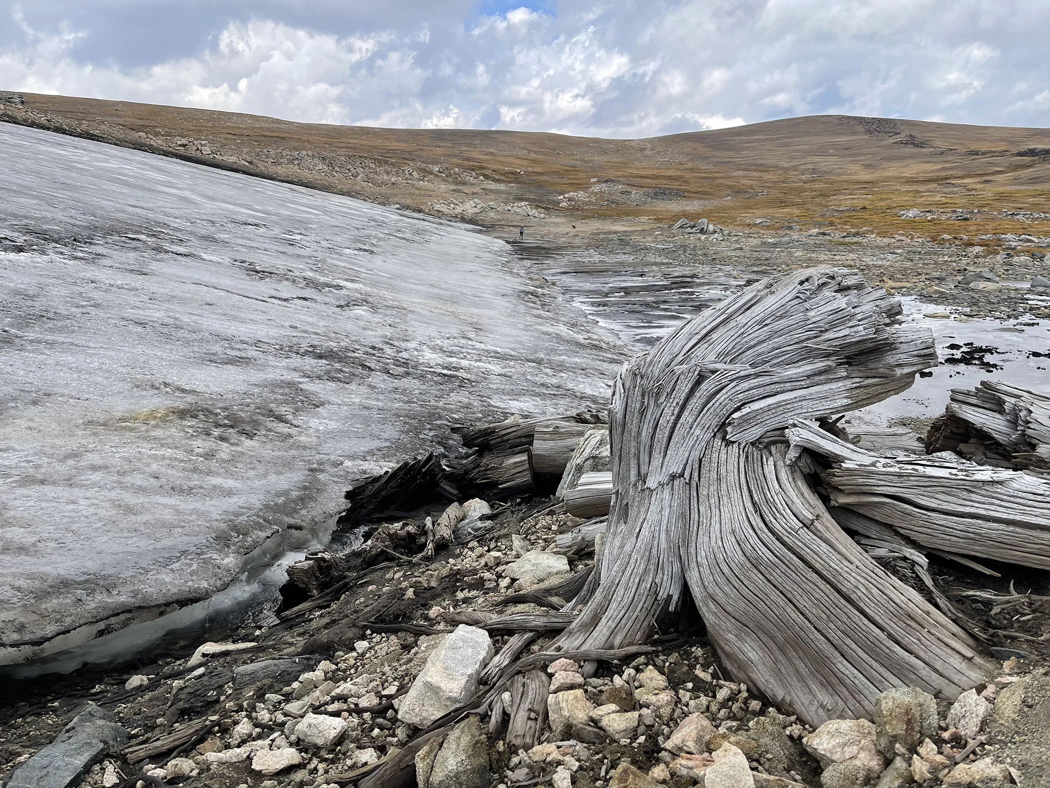 Ice patches on Beartooth Plateau reveal how ancient landscape differed from today’s