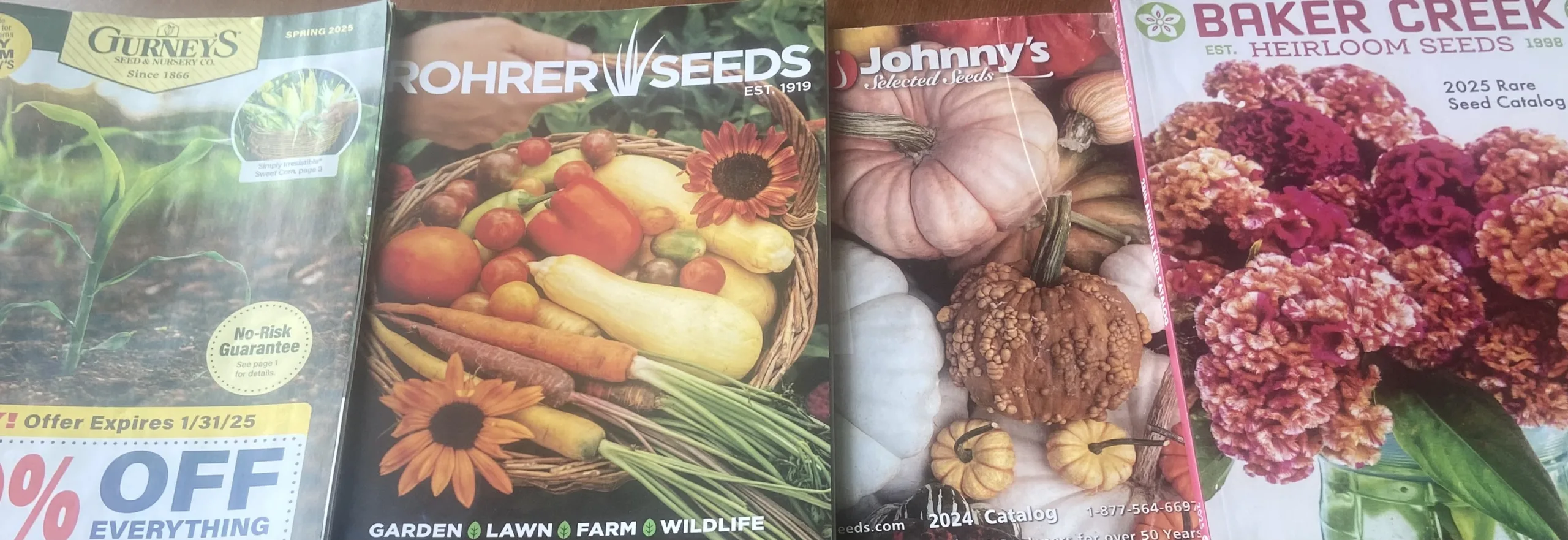 Planning your summer garden? Here’s where you can buy seeds sourced from Montana.