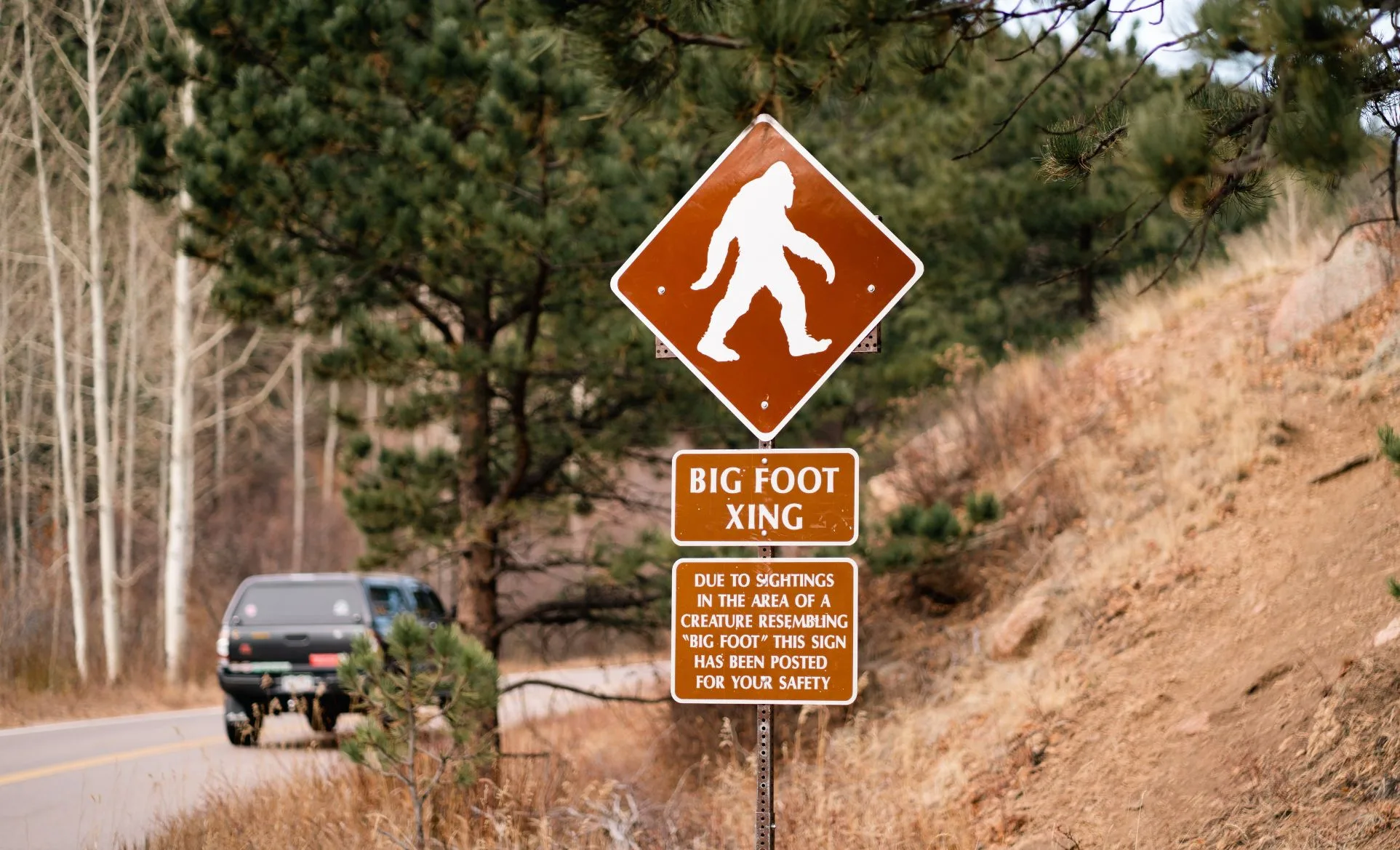 Is Bigfoot in Big Sky Country?