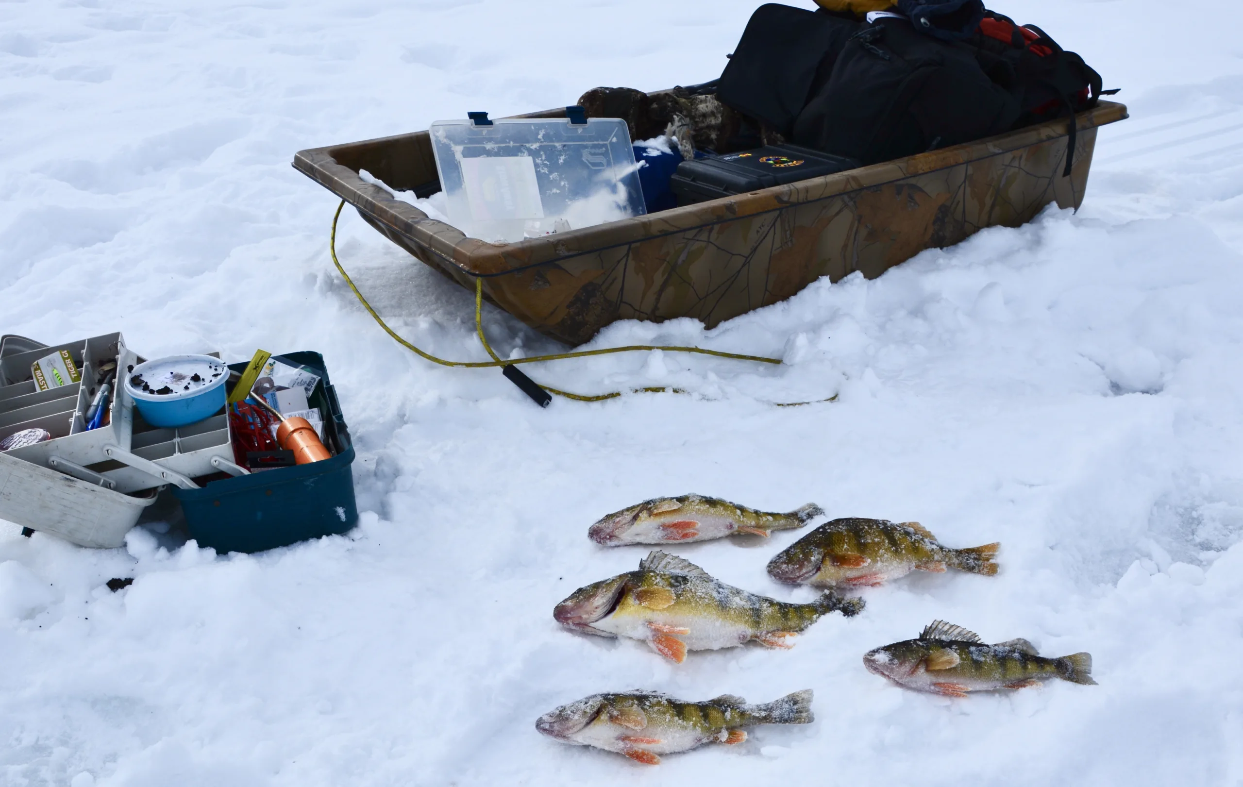 ice fishing, sled, perch, Lake Cascade