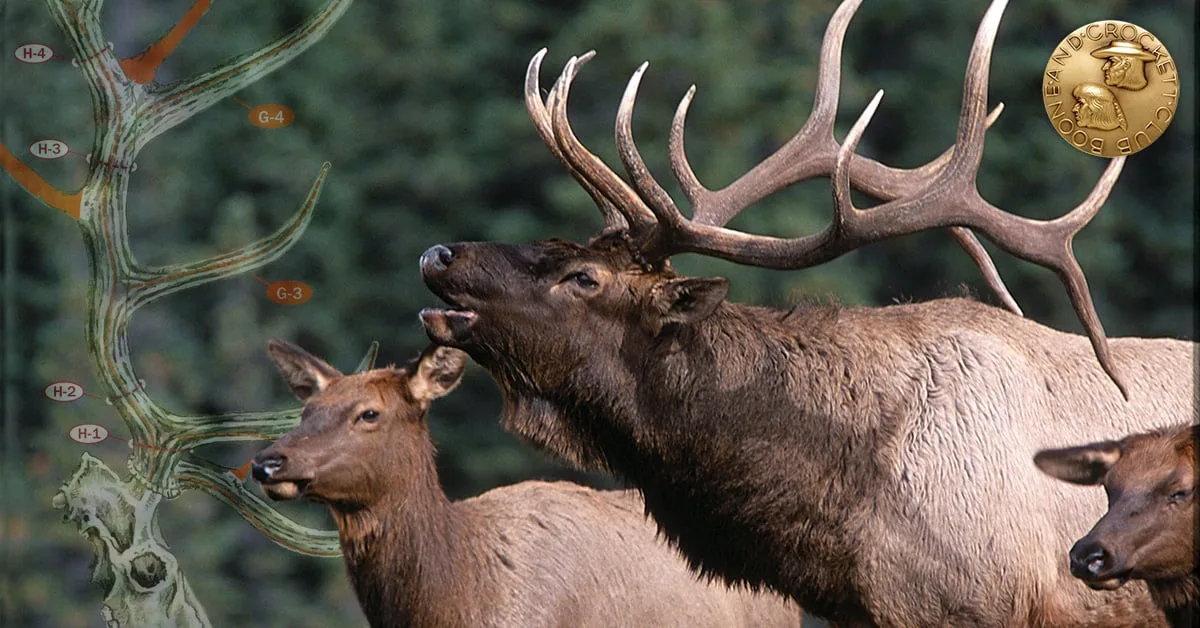 Reminiscing in Montana with Boone and Crockett