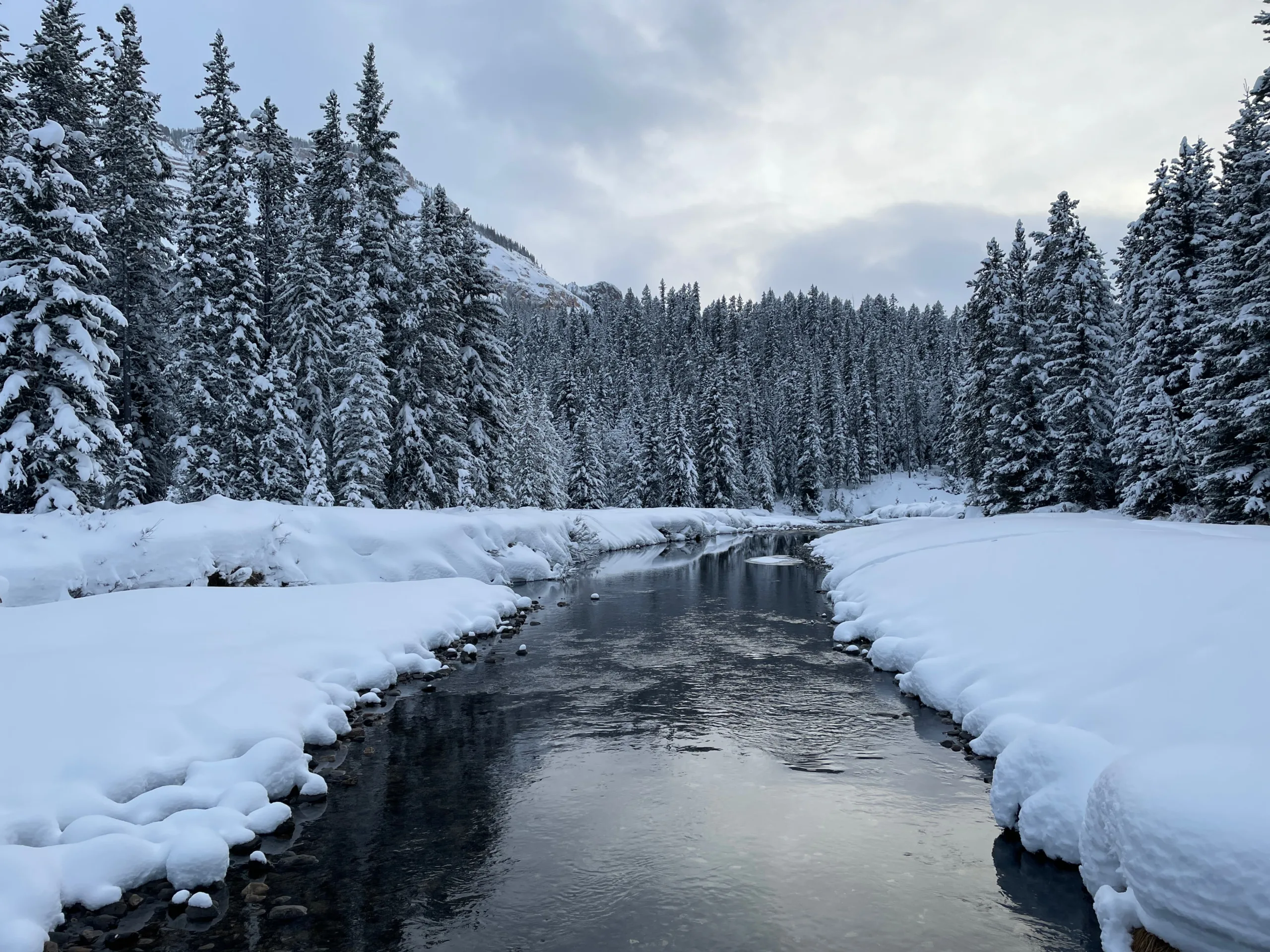 Snowpack Rebounds After a Slow Start to the Winter Season