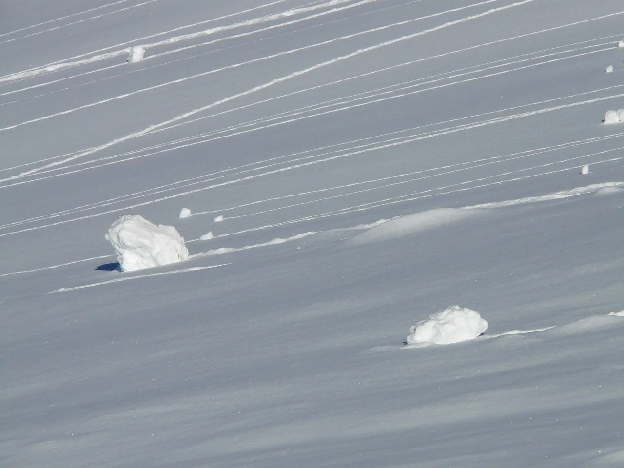 Skier dies in Wyoming avalanche