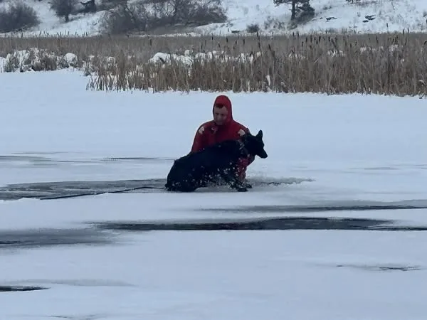 Montana firefighters rescue dog that fell through ice