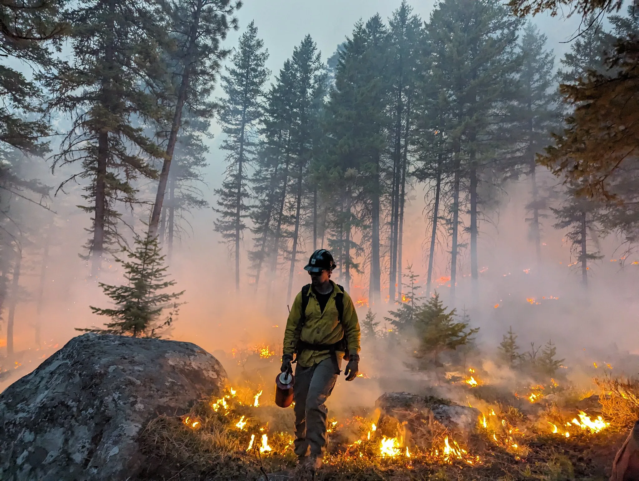 OIG report questions over $200 million in USFS spending earmarked for fuels reduction