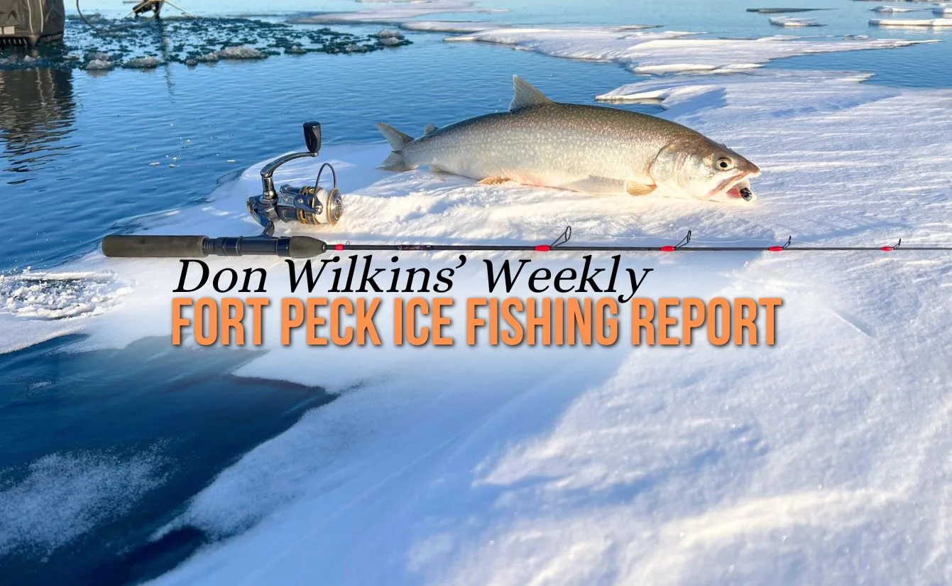 Don Wilkins’ Fort Peck Fishing Report 3.14.25