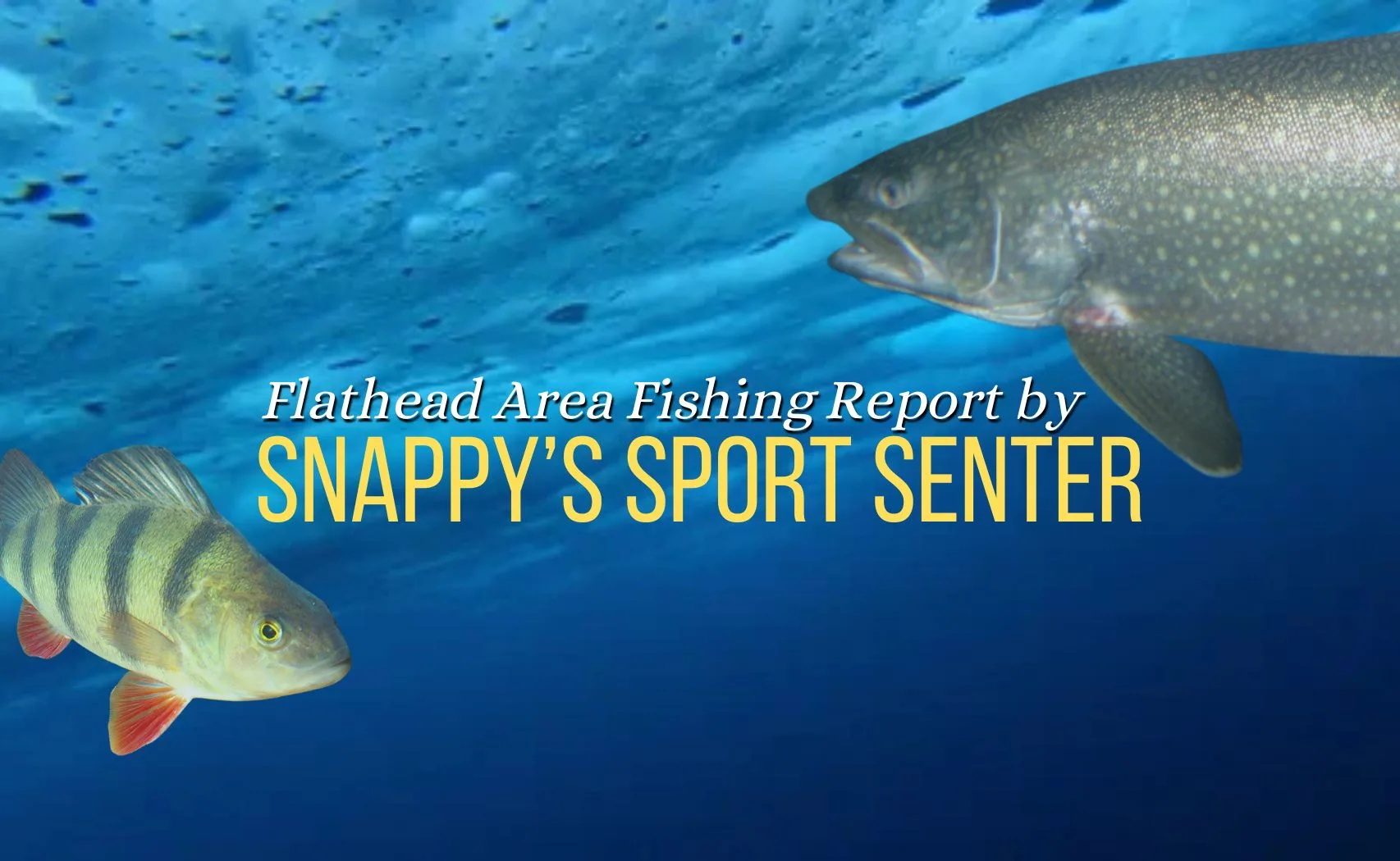 Flathead Area Fishing Report via Snappy’s Sport Senter 2.20.25