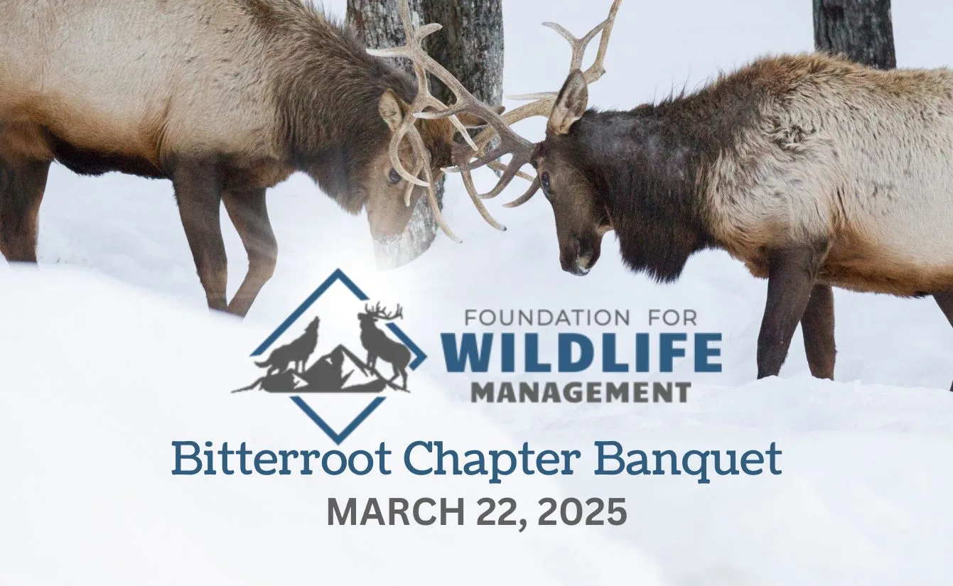 Foundation for Wildlife Management Gears Up for Annual Bitterroot Chapter Fundraising Banquet