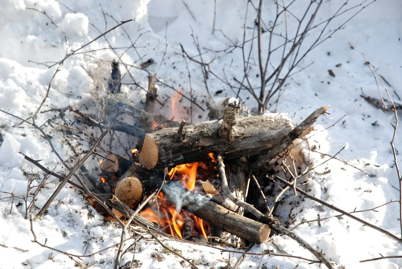 79-year-old skier survives night in tree well near Blacktail Ski Area