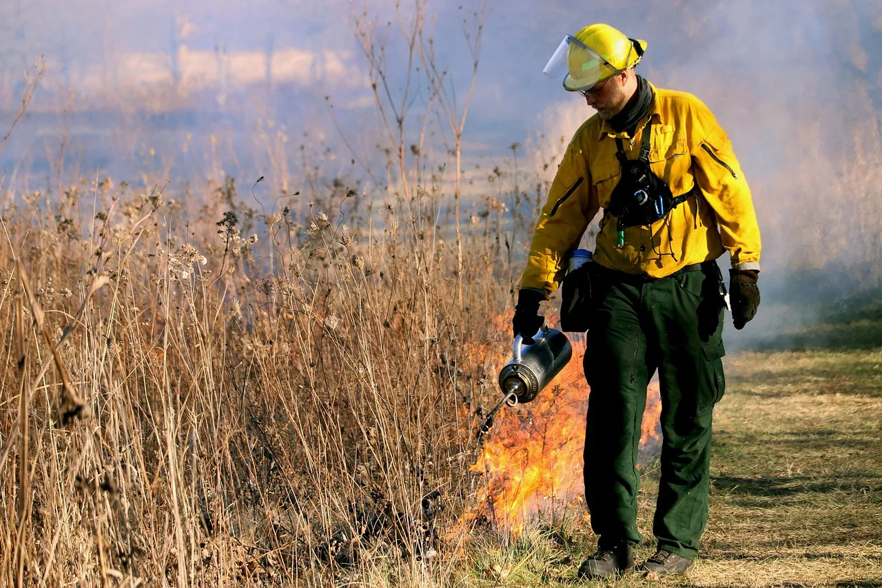 Sheehy, Padilla Introduce Bipartisan Bill to Create National Wildland Firefighting Service