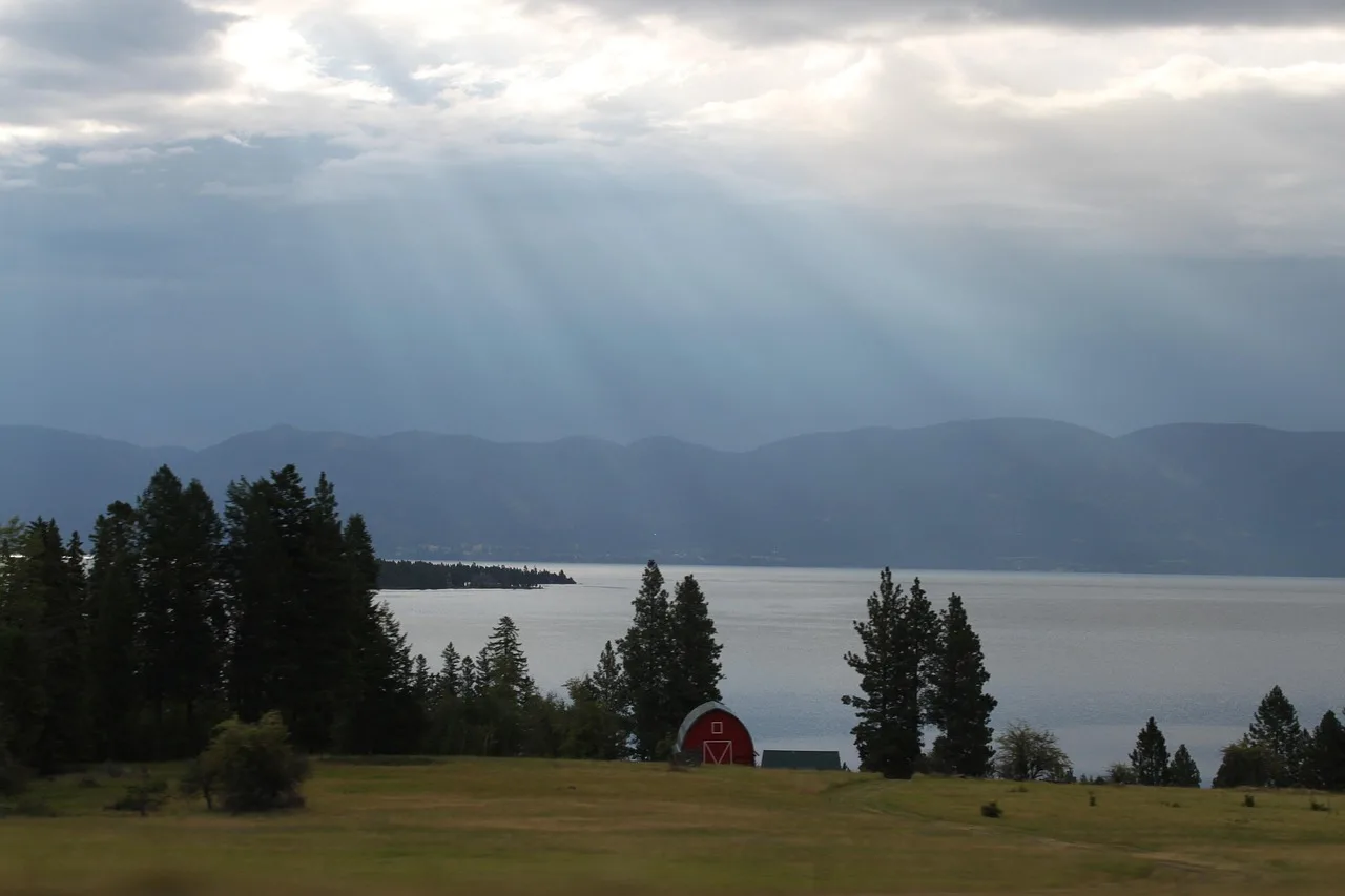 Skeletal remains found near Flathead River