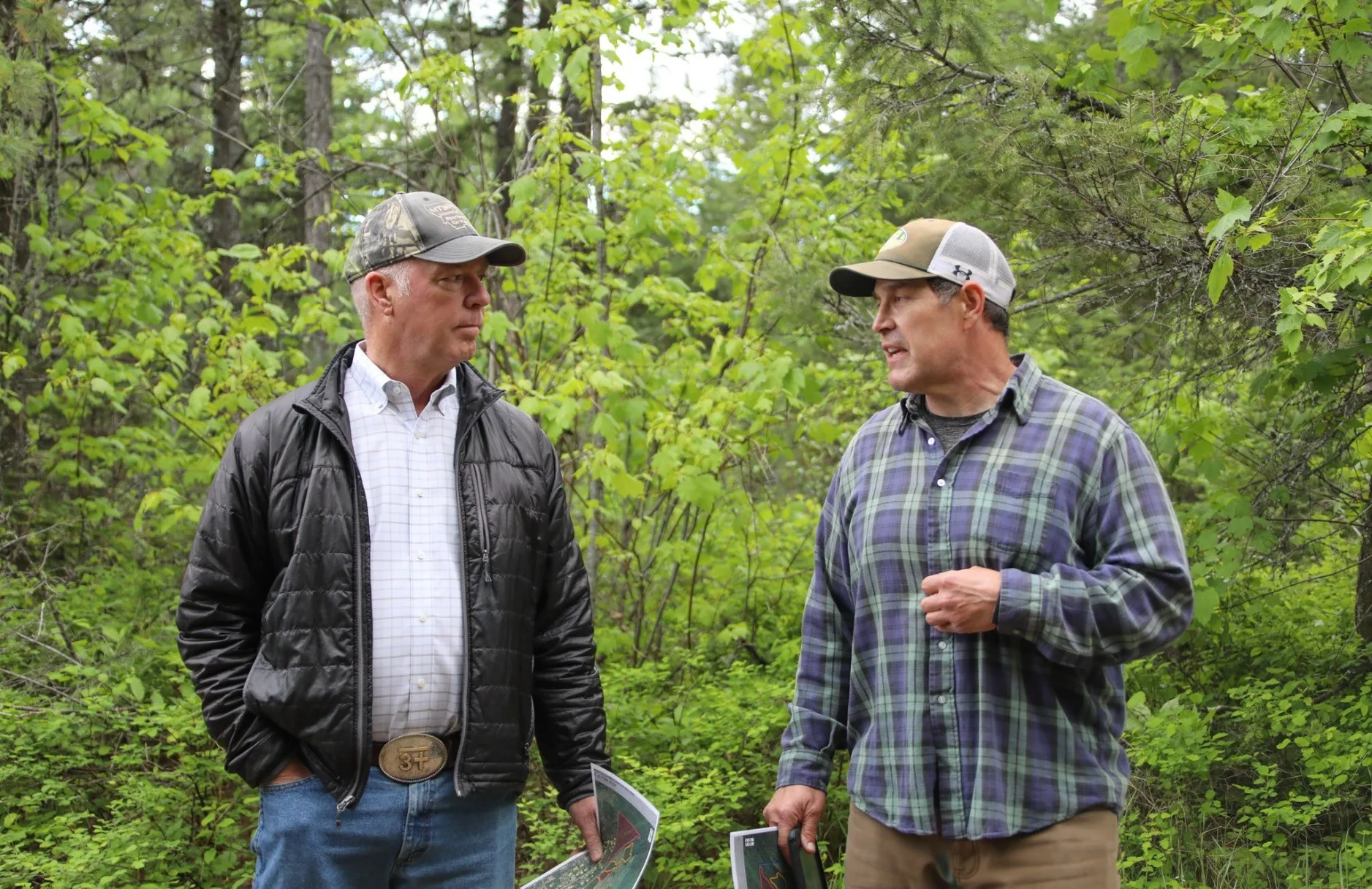 Governor Gianforte: DNRC Places Nearly 130,000 Acres Under Management in First Term