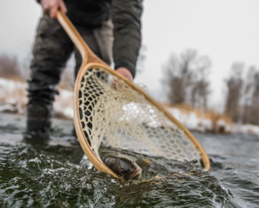 Paradise Valley Spring Creeks Fishing Report 2.14.25