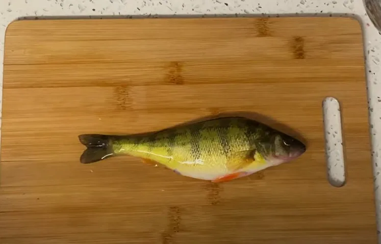 How To Clean a Perch in One Minute