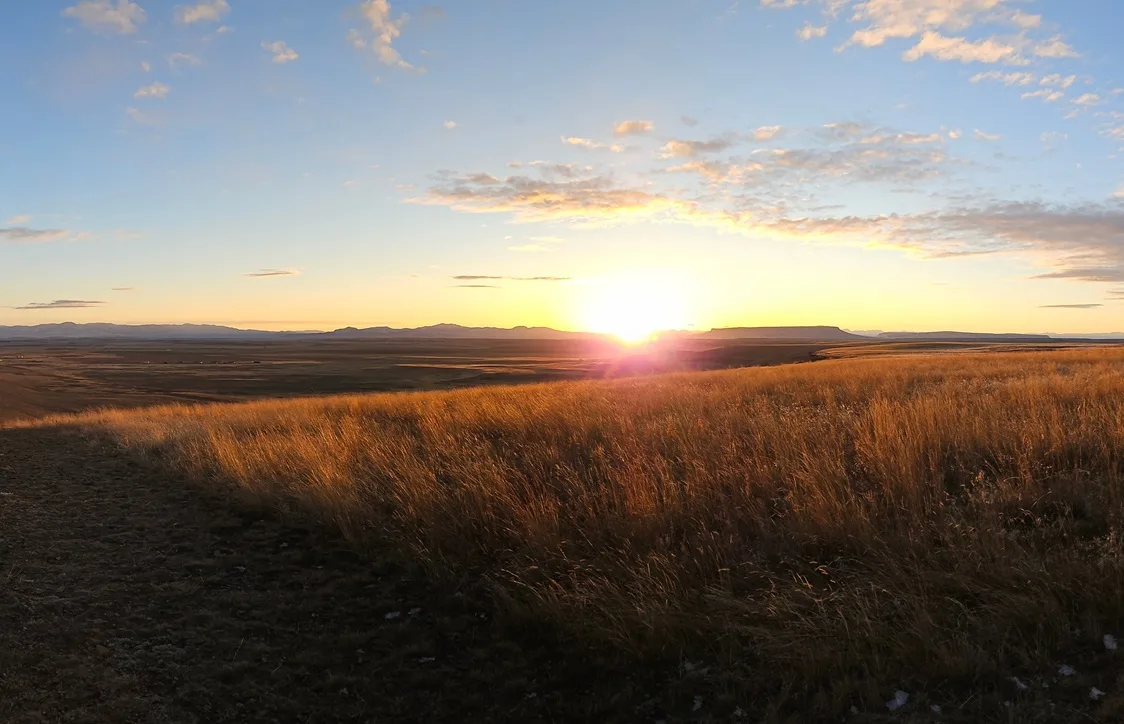 Step Back in Time at North America’s Largest Bison Jump