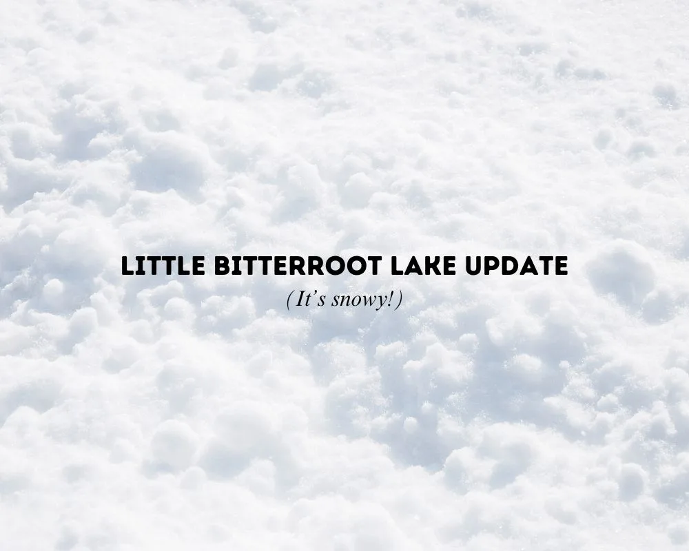 Bitterroot Lake Fishing Update 2.17.25