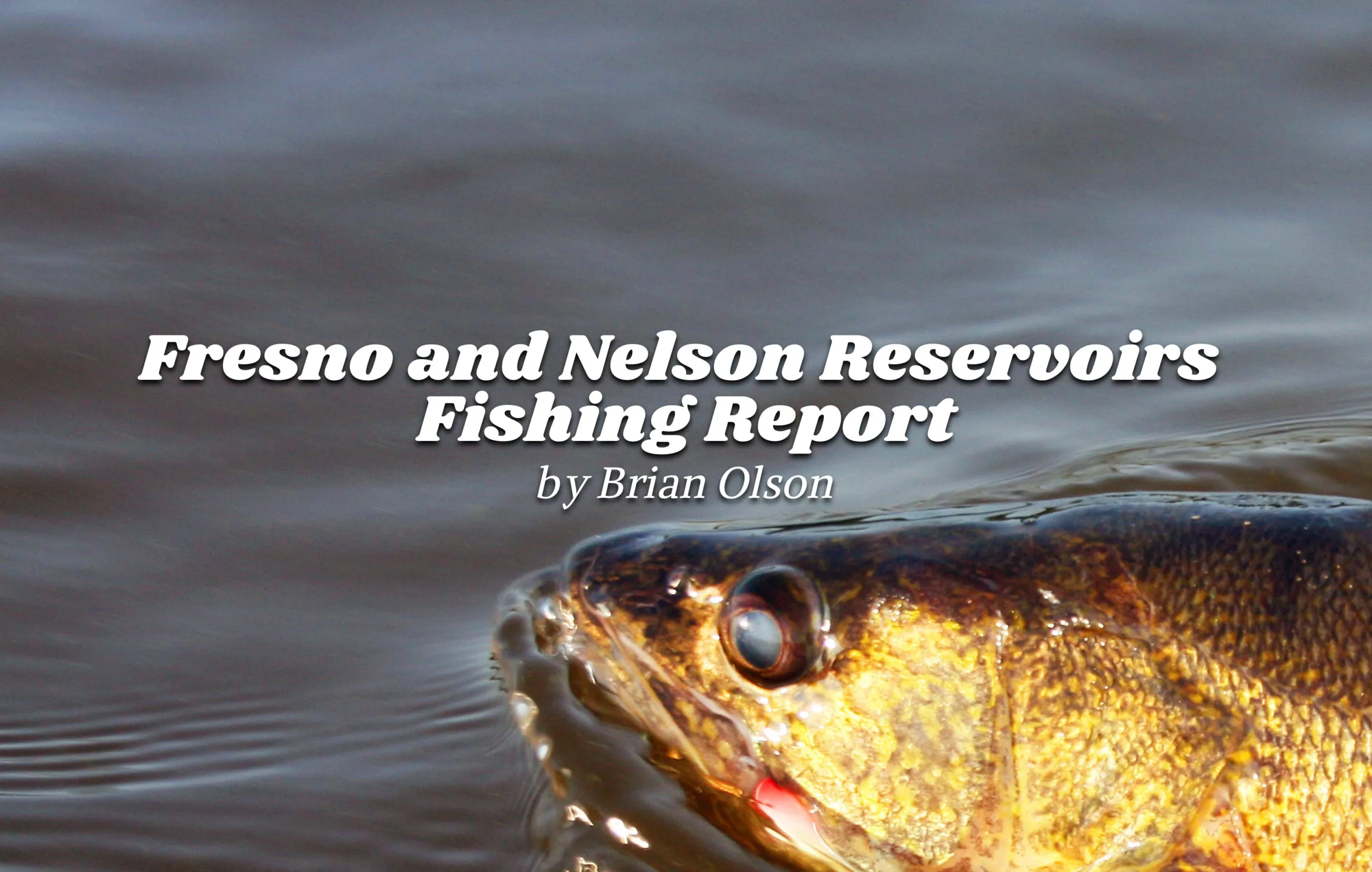 Brian Olson’s Fresno and Nelson Reservoirs Fishing Report 3.20.25