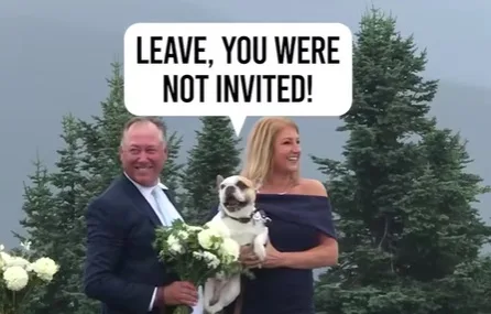 When Wildlife Crashes Your Wedding, and Your Dog Doesn’t Like It!