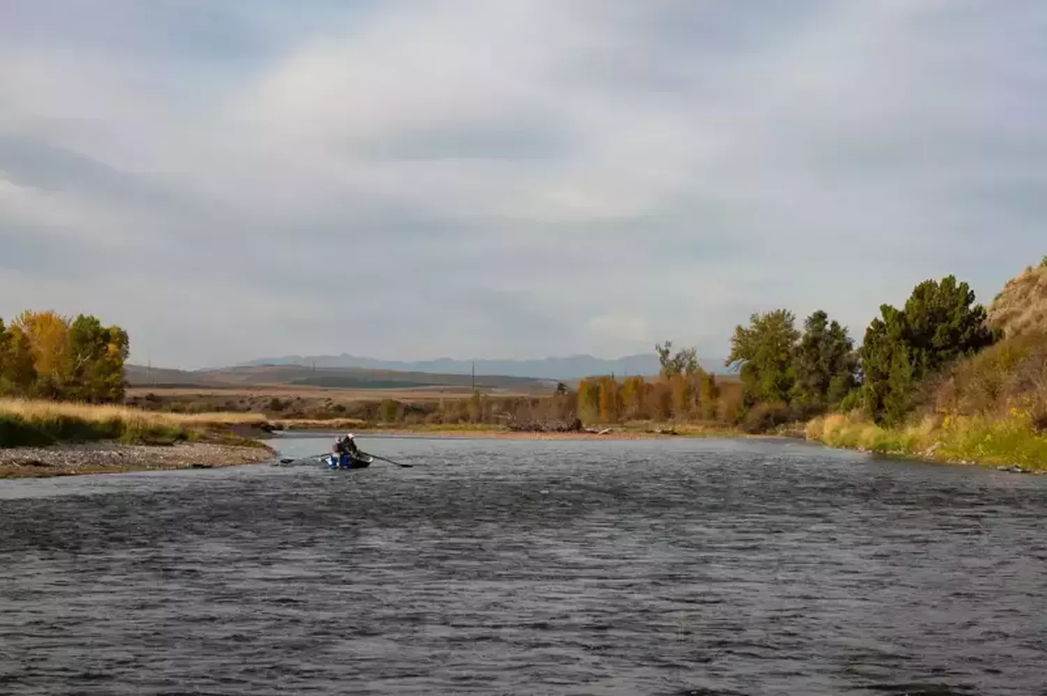 Gallatin River Fishing Report by Fins and Feathers 3.18.25