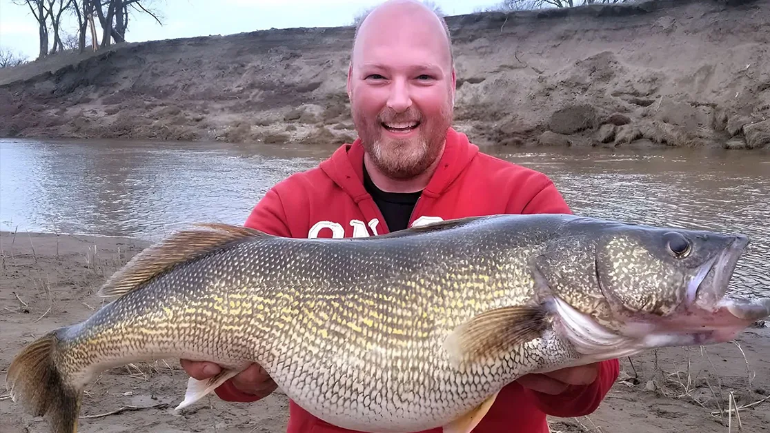 Nearly 17 Pound Walleye Caught in North Dakota