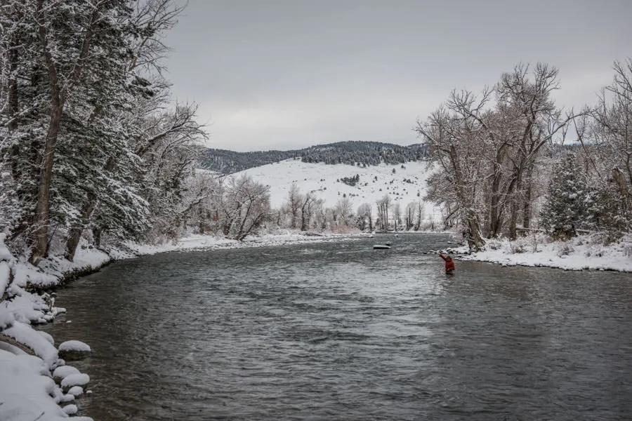 Southwest Montana Fishing Reports Overview